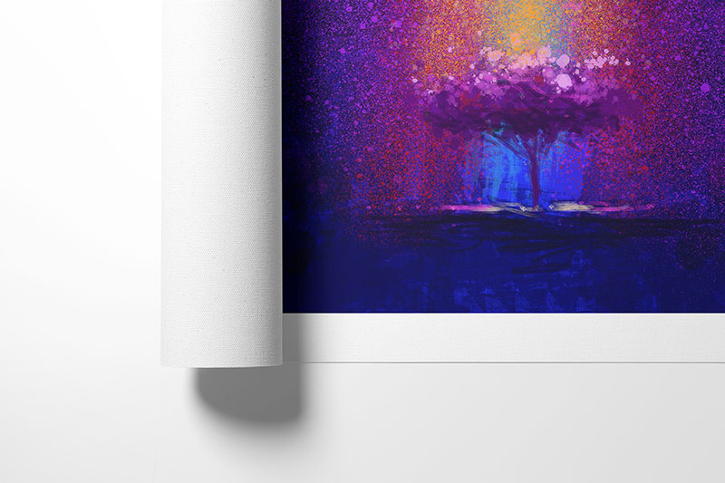 Purple-ray-bassa-5